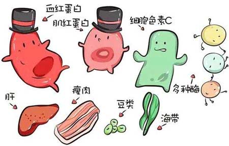 国产看片网站廠家分析元素之間的協同作用