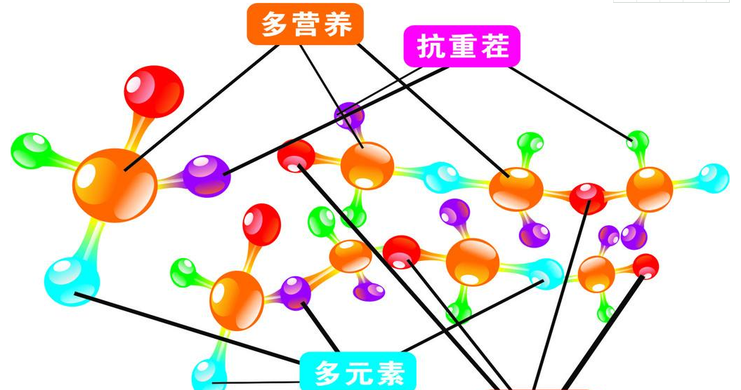 全自動91看片免费版廠家談鋅的臨床意義