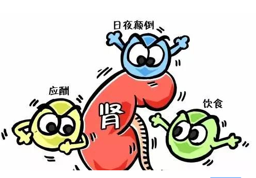 全自動国产看片网站廠家談腎髒病與微量元素的關係