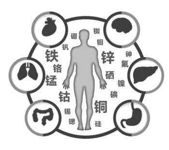 醫用91看片免费版廠家談微量元素的重要性 醫用91看片免费版廠家談微量元素的重要性