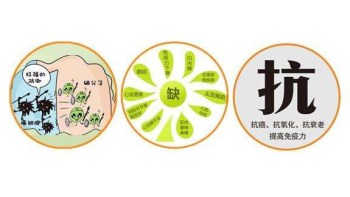 国产看片网站廠家分析哪些微量元素能防癌 国产看片网站廠家分析哪些微量元素能防癌