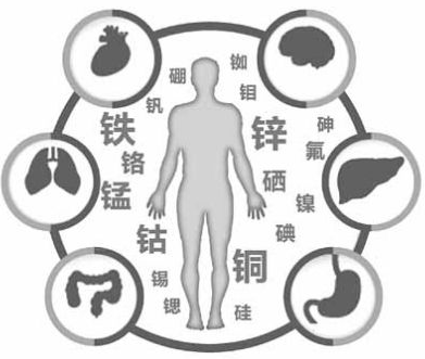 醫用91看片免费版為9I看片成人免费的健康提供了保障 醫用91看片免费版為9I看片成人免费的健康提供了保障