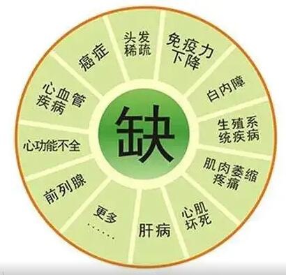 醫用91看片免费版