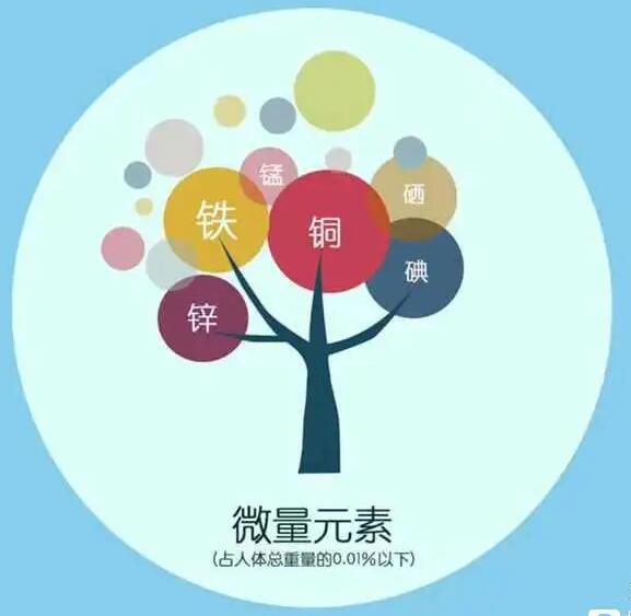 人體91看片免费版廠家哪家好