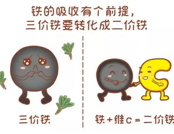 醫用91看片免费版廠家提醒大家鐵元素的重要性