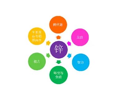 微量元素測定儀廠家提示關愛男士健康，適度補充鋅元素也不能少！