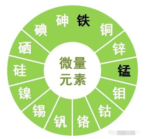 91看片免费版提示鋅、硒、錳、釩等微量元素對男性生育有哪些作用？