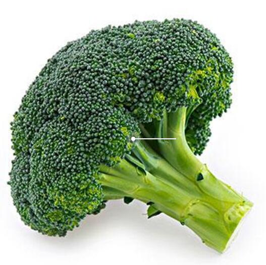 人體91看片免费版品牌提示7種食物能夠幫助補鈣，有你喜歡吃的嗎？