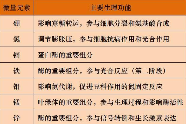 山東聊城全自動血鉛檢測儀一體機：微量元素的主要作用8.20